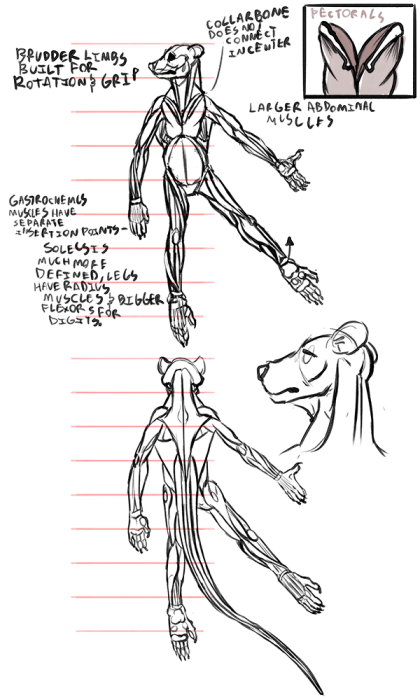 brudderdesign.png brudderdesign.png